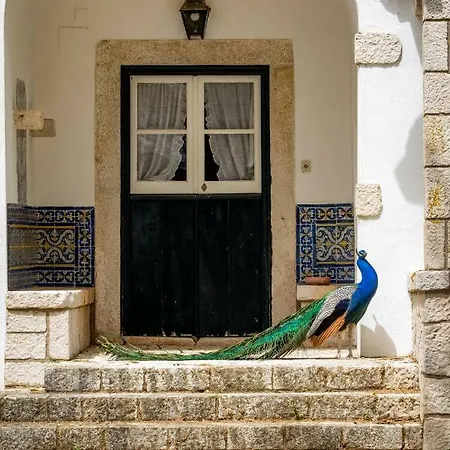 Farma Quinta Da Foz *