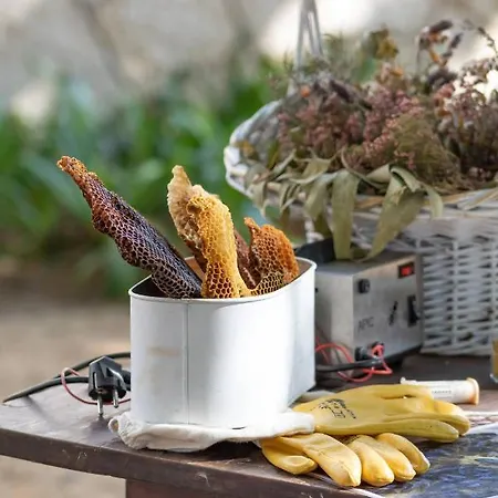 Quinta Da Foz Farma *