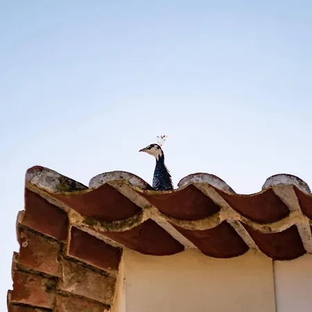 Farm stay Quinta Da Foz Foz do Arelho