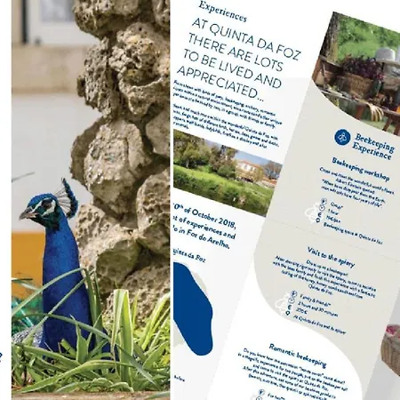 Quinta Da Foz Farma *