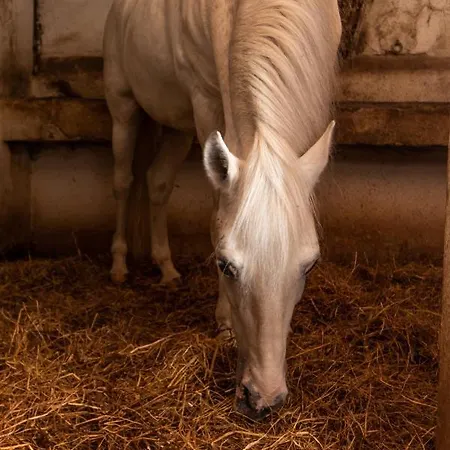 Farmház Quinta Da Foz Foz do Arelho