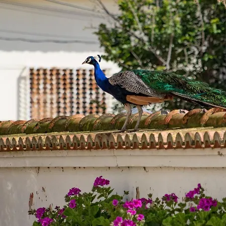 Bauernhof Quinta Da Foz *