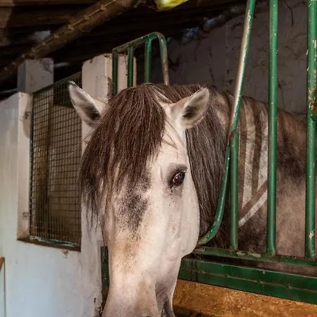 Farmház Quinta Da Foz Foz do Arelho