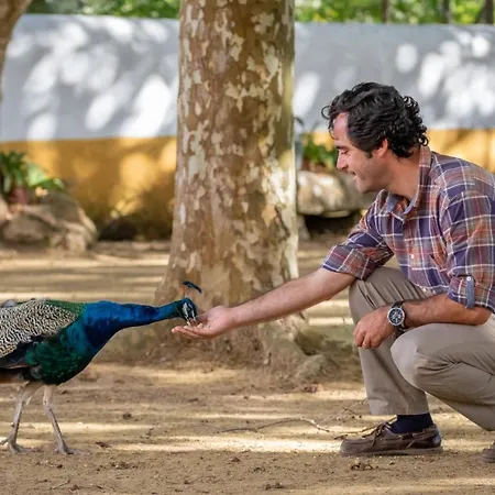 Κατάλυμα σε φάρμα Quinta Da Foz *