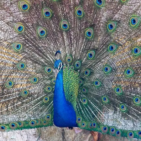 Quinta Da Foz Κατάλυμα σε φάρμα *