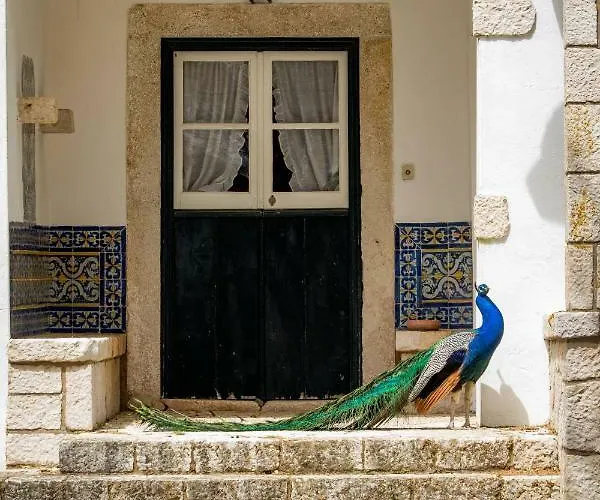 Alojamento de Turismo Rural Quinta Da Foz *