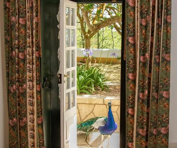 Alojamento de Turismo Rural Quinta Da Foz Foz do Arelho