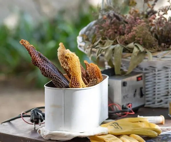 Quinta Da Foz Alojamento de Turismo Rural *