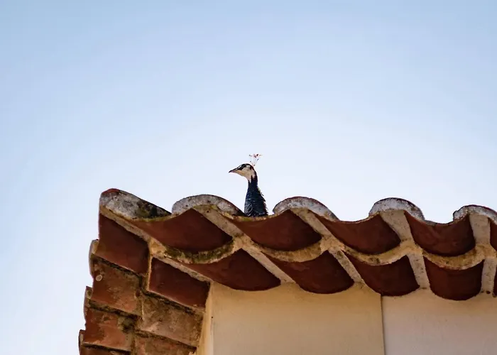 Farm stay Quinta Da Foz Foz do Arelho