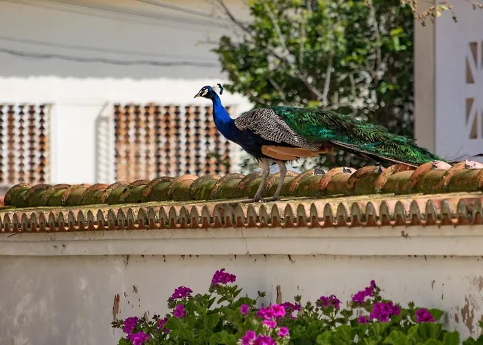 Alojamento de Turismo Rural Quinta Da Foz *