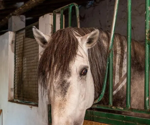 Alojamento de Turismo Rural Quinta Da Foz Foz do Arelho