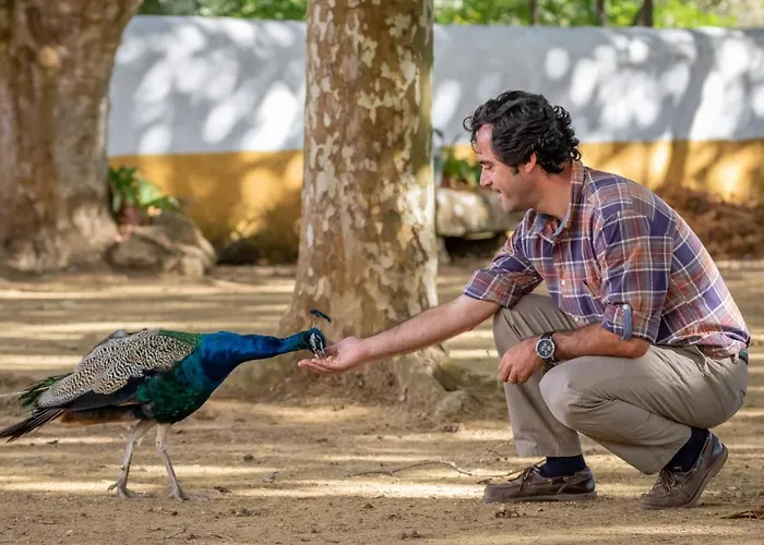 Farm stay Quinta Da Foz *