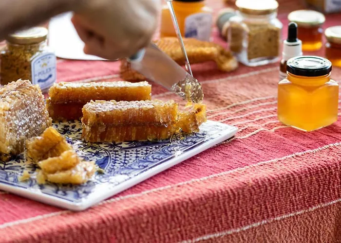 Quinta Da Foz Foz do Arelho