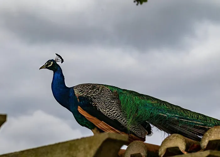 Quinta Da Foz Alojamento de Turismo Rural Foz do Arelho
