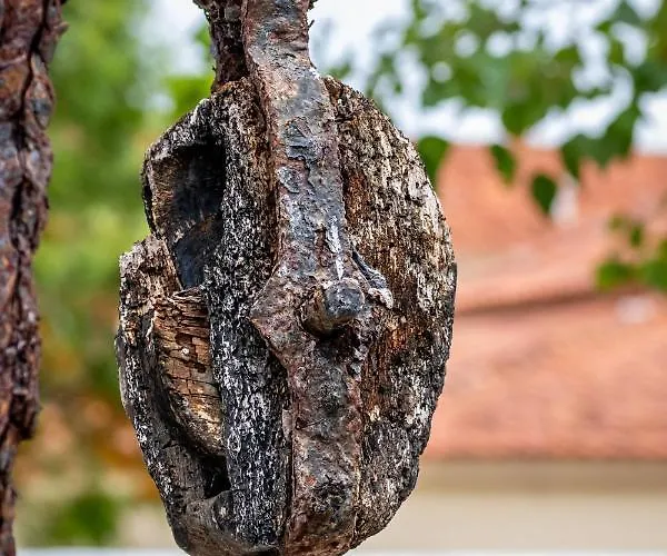 Alojamento de Turismo Rural Quinta Da Foz Foz do Arelho