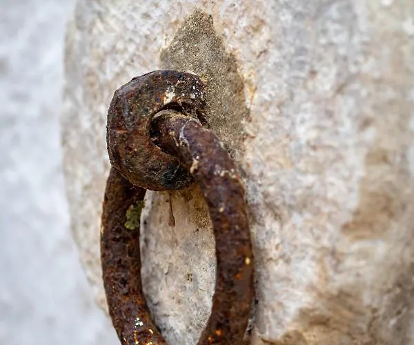 Alojamento de Turismo Rural Quinta Da Foz
