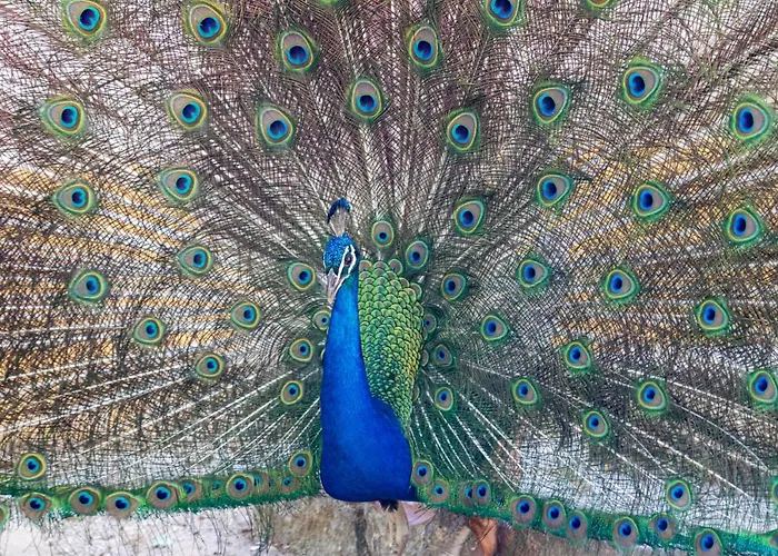 Quinta Da Foz Alojamento de Turismo Rural *