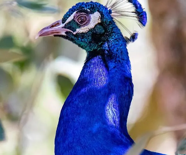Quinta Da Foz Alojamento de Turismo Rural